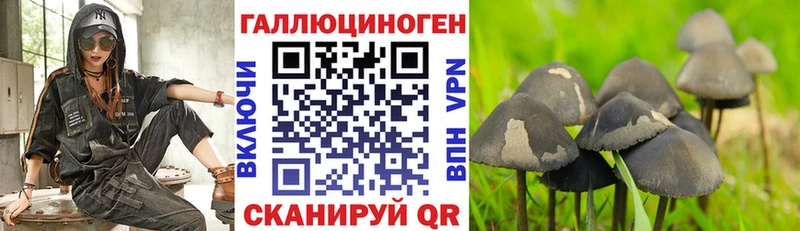 Галлюциногенные грибы Psilocybine cubensis  hydra как зайти  Урай 
